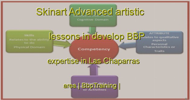 Skinart Advanced artistic lessons in develop BBP expertise in Las Chaparras area | BbpTraining | BbpClasses | SkinartTraining-Mexico